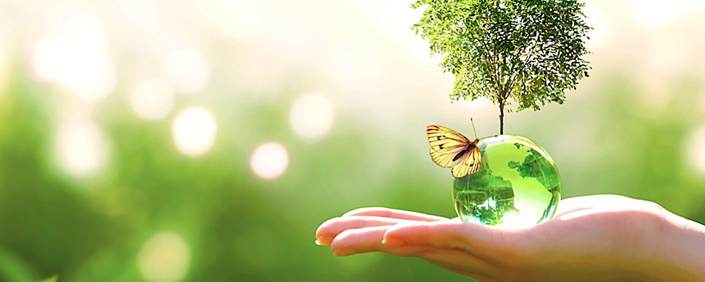 Entreprise de Nettoyage écologique engagée en Responsabilité environnementale et sociétale